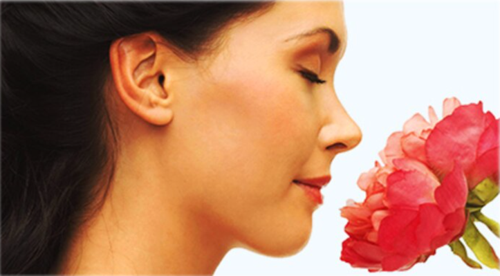 koku bozukluklari prof dr mehmet ali babademez